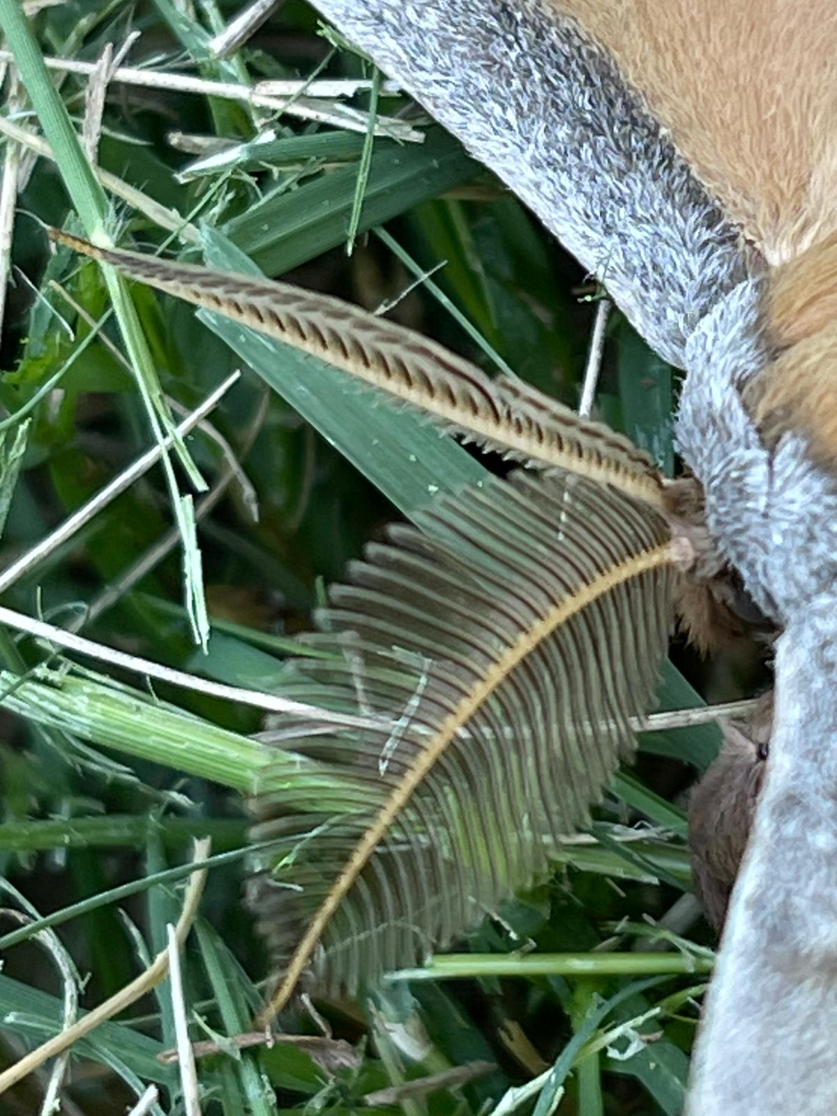 20210619212104_96454.jpeg