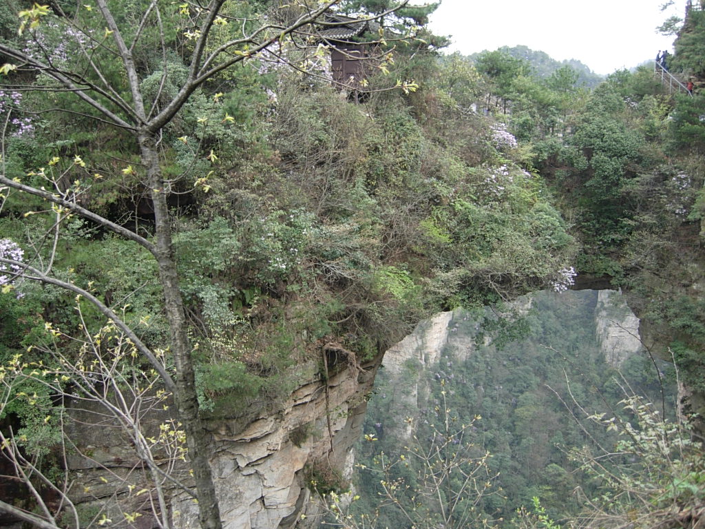 DSCN3979.JPG