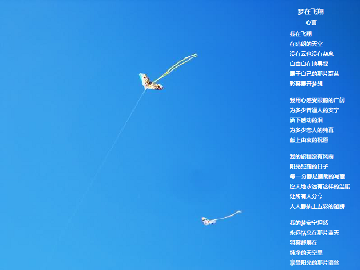 meng zai fei xiang.png