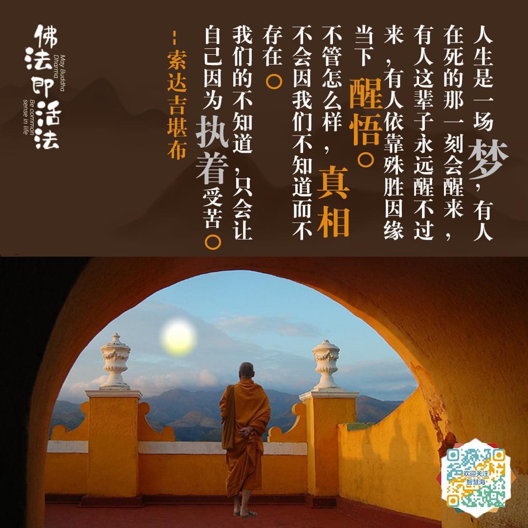 pic1.jpg