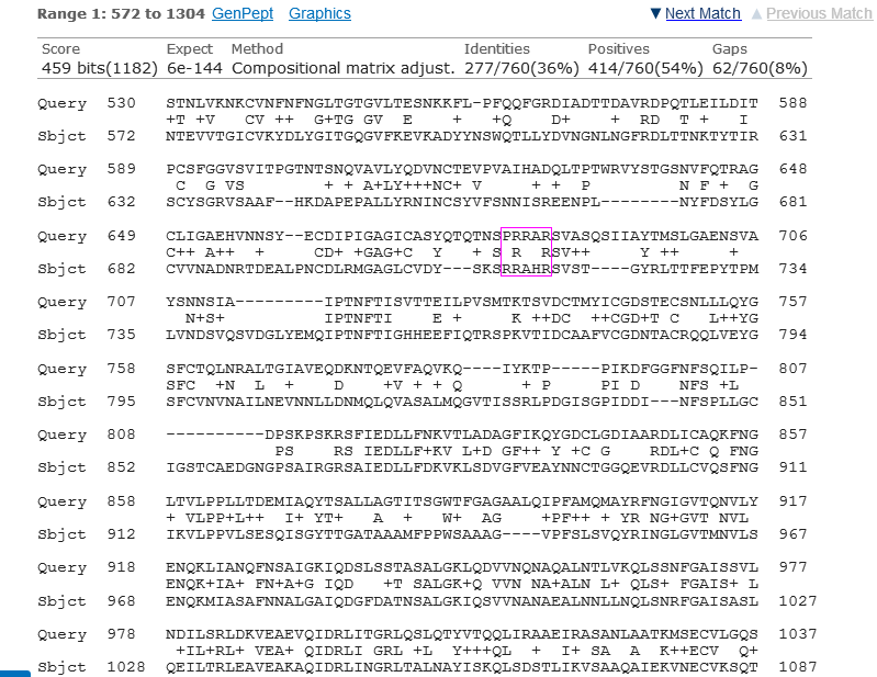 cov2_vs_mhv_a59_protein_align_marked.PNG