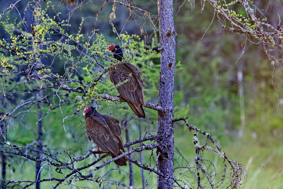 20220418064850_72615.jpg 2B6A1377.jpg