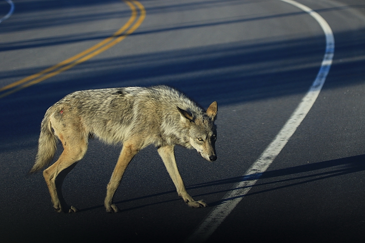 20220418065538_28826.jpg 2B6A1383.jpg