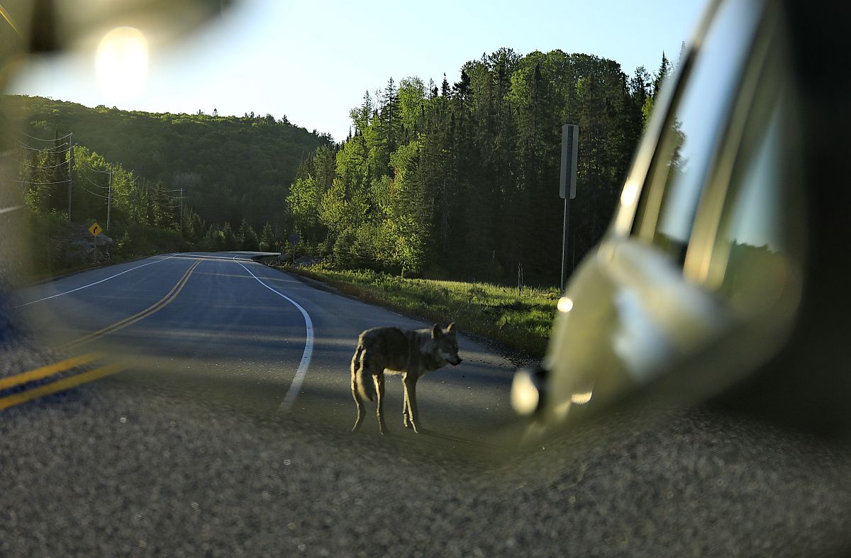 20220418070852_25523.jpg 002.jpg