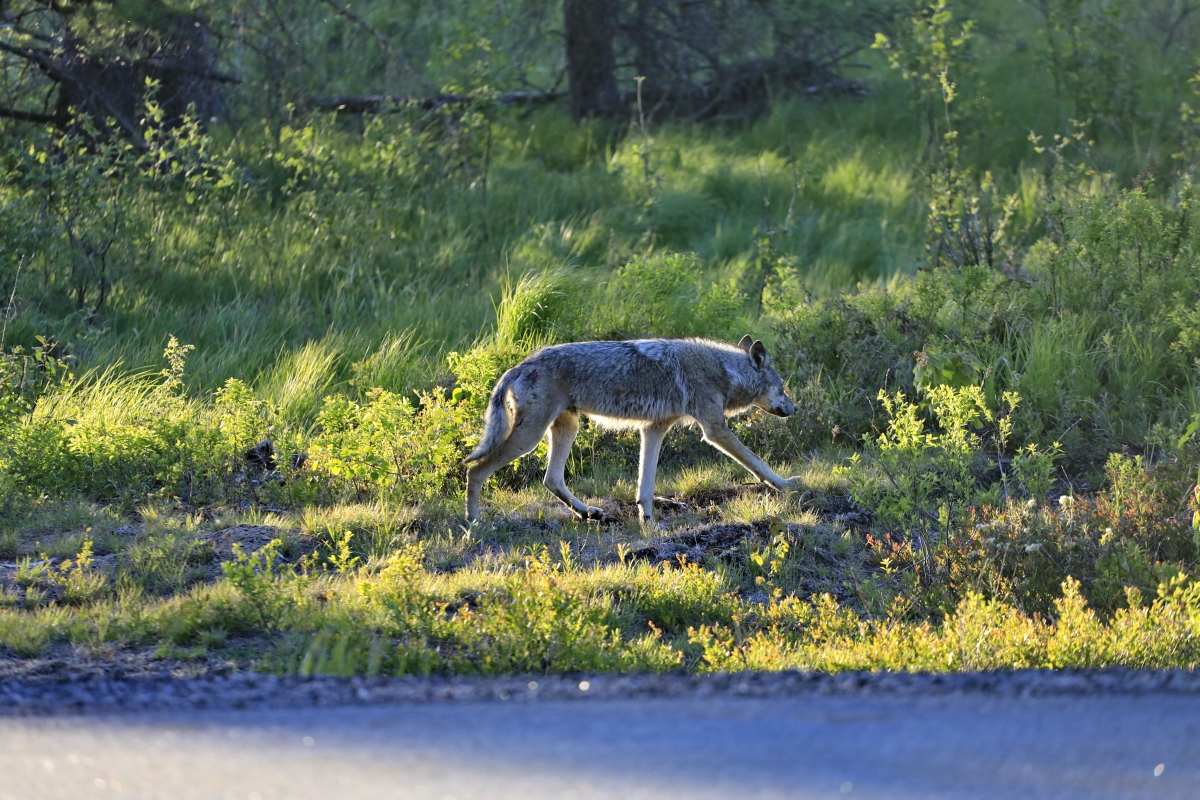 20220418071036_92945.jpg _58A2898.jpg