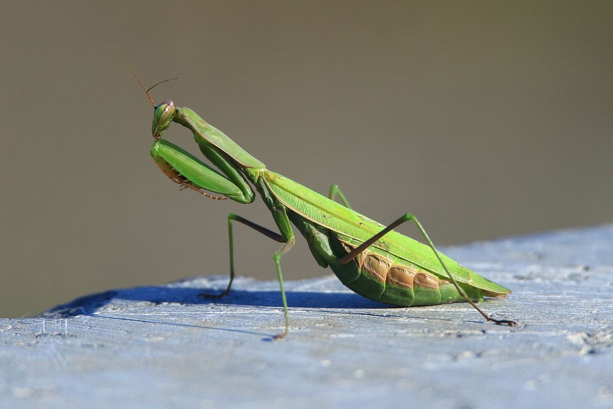 20220418071836_55584.jpg 003.jpg