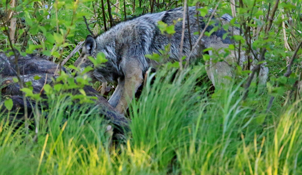 20220418071914_82861.jpg 2B6A1415.jpg