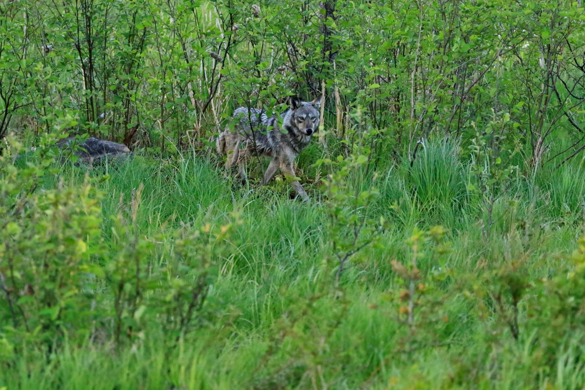 20220418072341_43694.jpg 2B6A1436.jpg