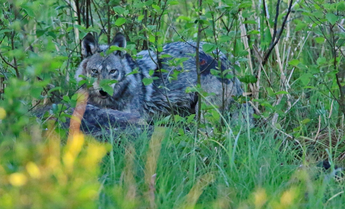 20220418072513_13704.jpg 2B6A1431.jpg