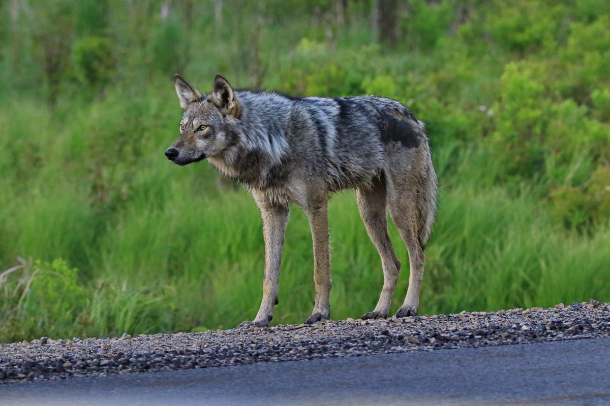 20220418073313_18800.jpg 2B6A1469.jpg