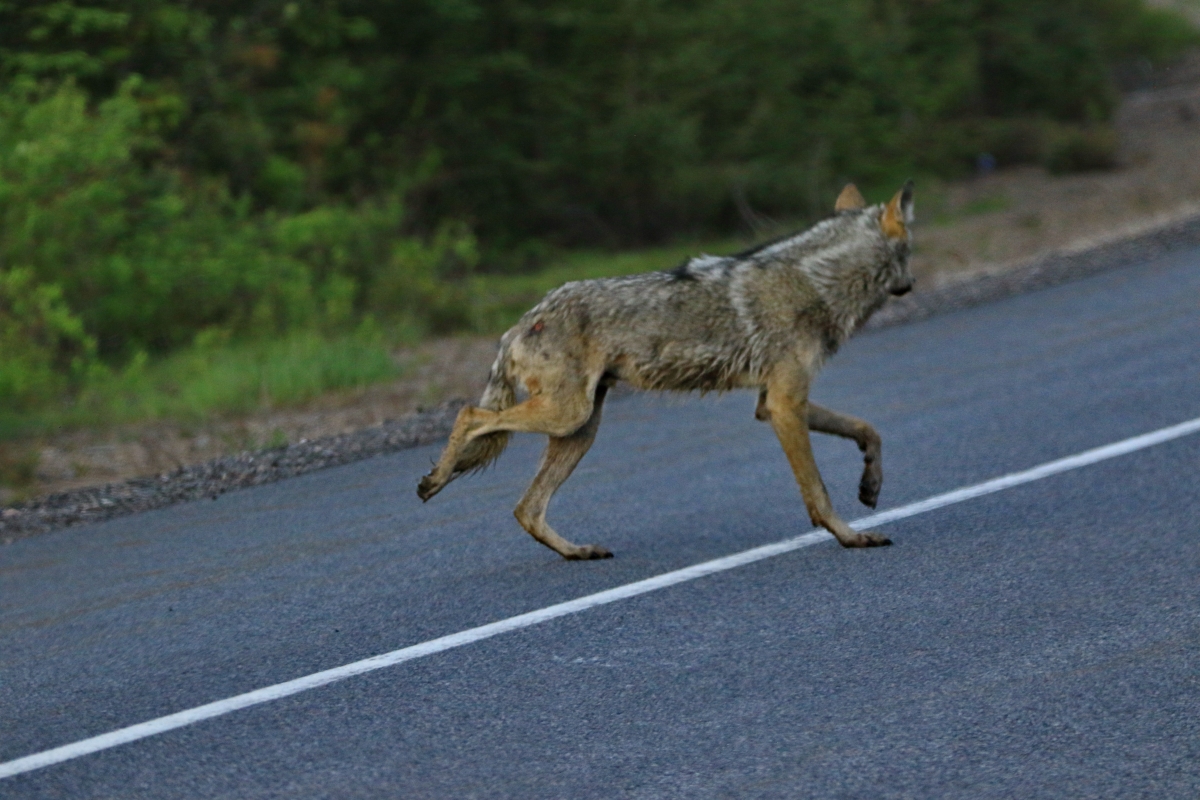 20220418073336_22198.jpg 2B6A1474.jpg