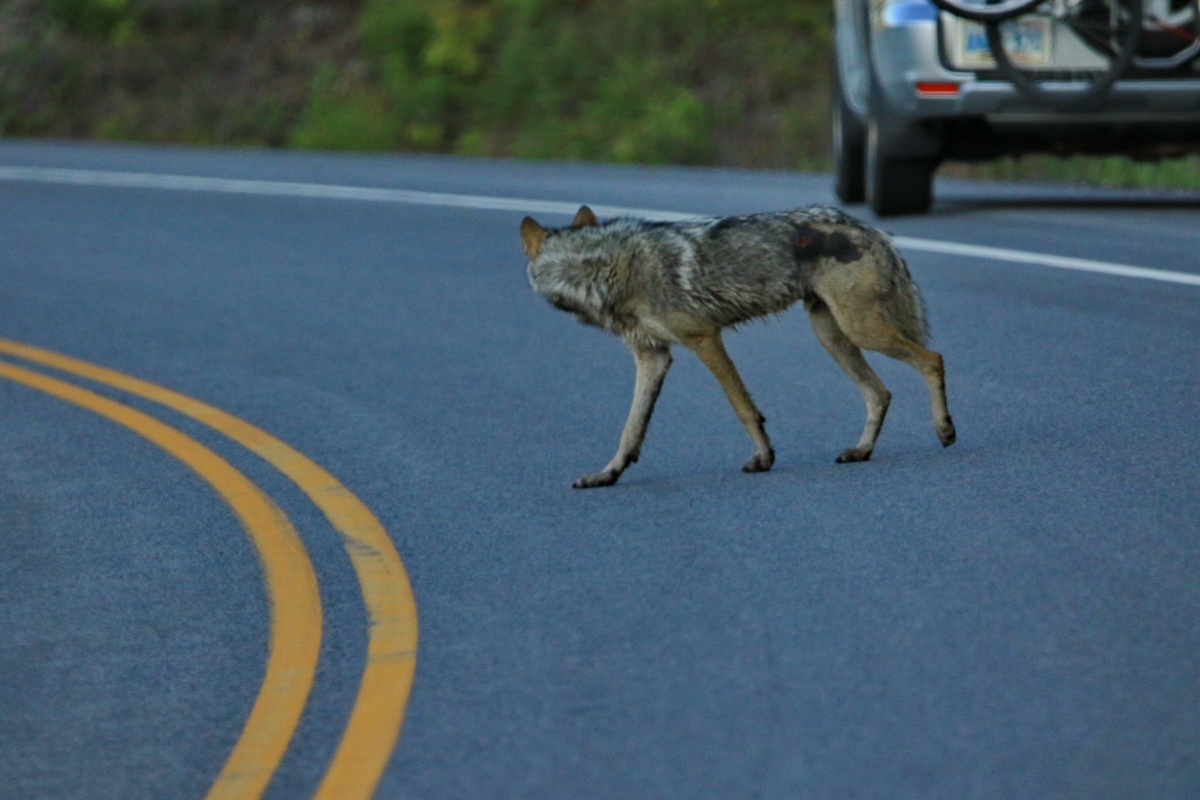 20220418073509_26626.jpg 2B6A1493.jpg