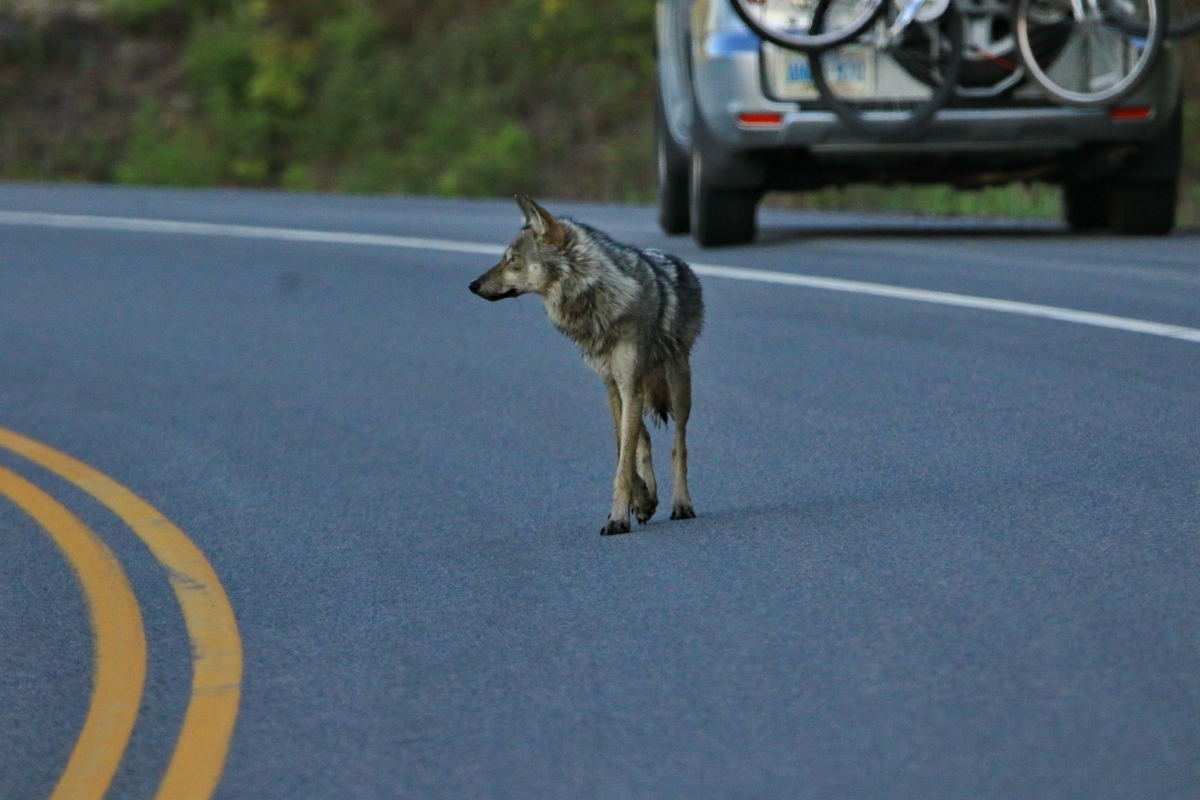 20220418073537_40947.jpg 2B6A1497.jpg