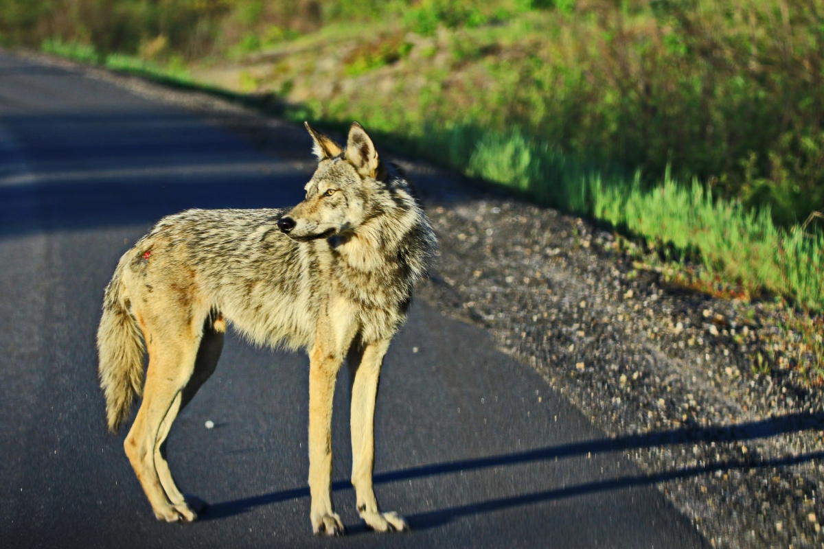 20220418073608_48185.jpg 2B6A1386.jpg