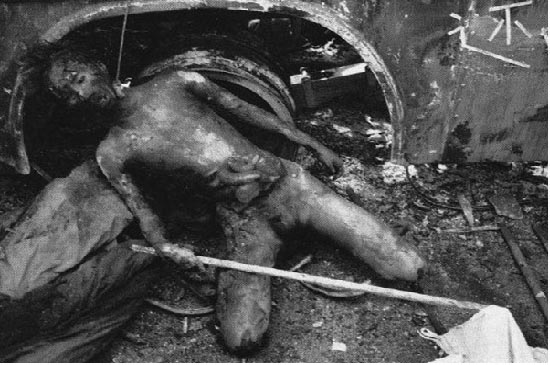 20220604222409_27807.jpg 20150603175830_38774.jpg