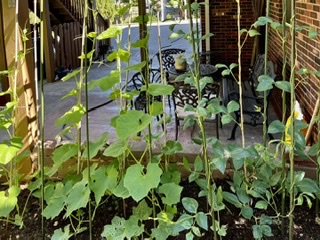 7EB16D18-B977-40DA-90E8-7F44EBF74714.jpeg