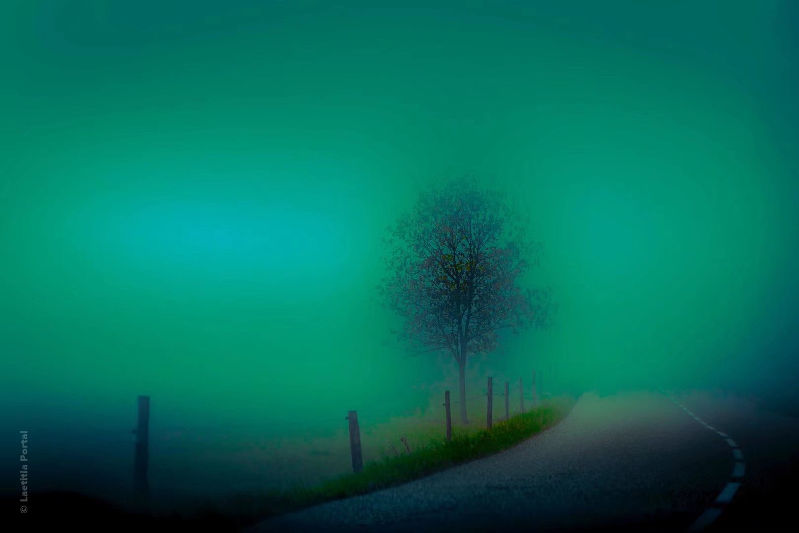2636AD7A-1B86-4092-A4F2-0F6F4AA23E67.jpeg