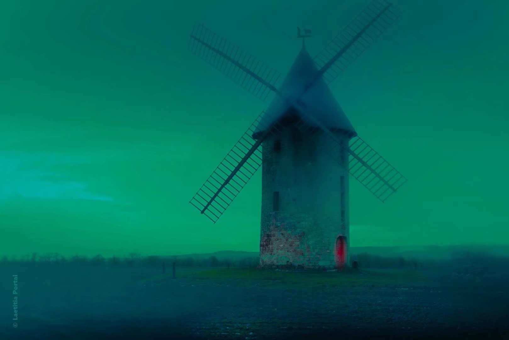 99D37541-792A-4EB6-AB07-295E504C058A.jpeg