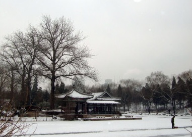 4cbe5d26t636275e0c3c6.jpg