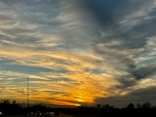 873FB5C7-B902-4D52-ABCD-33B7D470CF64.jpeg