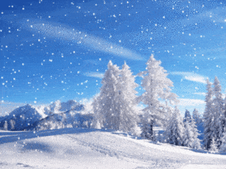 icegif-883.gif