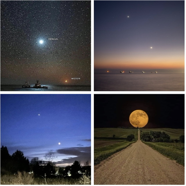 20230310091534_30350.jpeg 19E0AE5E-4CAC-469E-8C68-C012314FCC3F.jpeg