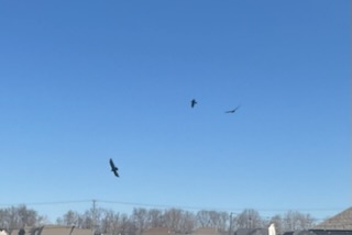 20230312094929_41078.jpeg 592AB587-2D1F-4C7F-A95A-D4556E63356B.jpeg