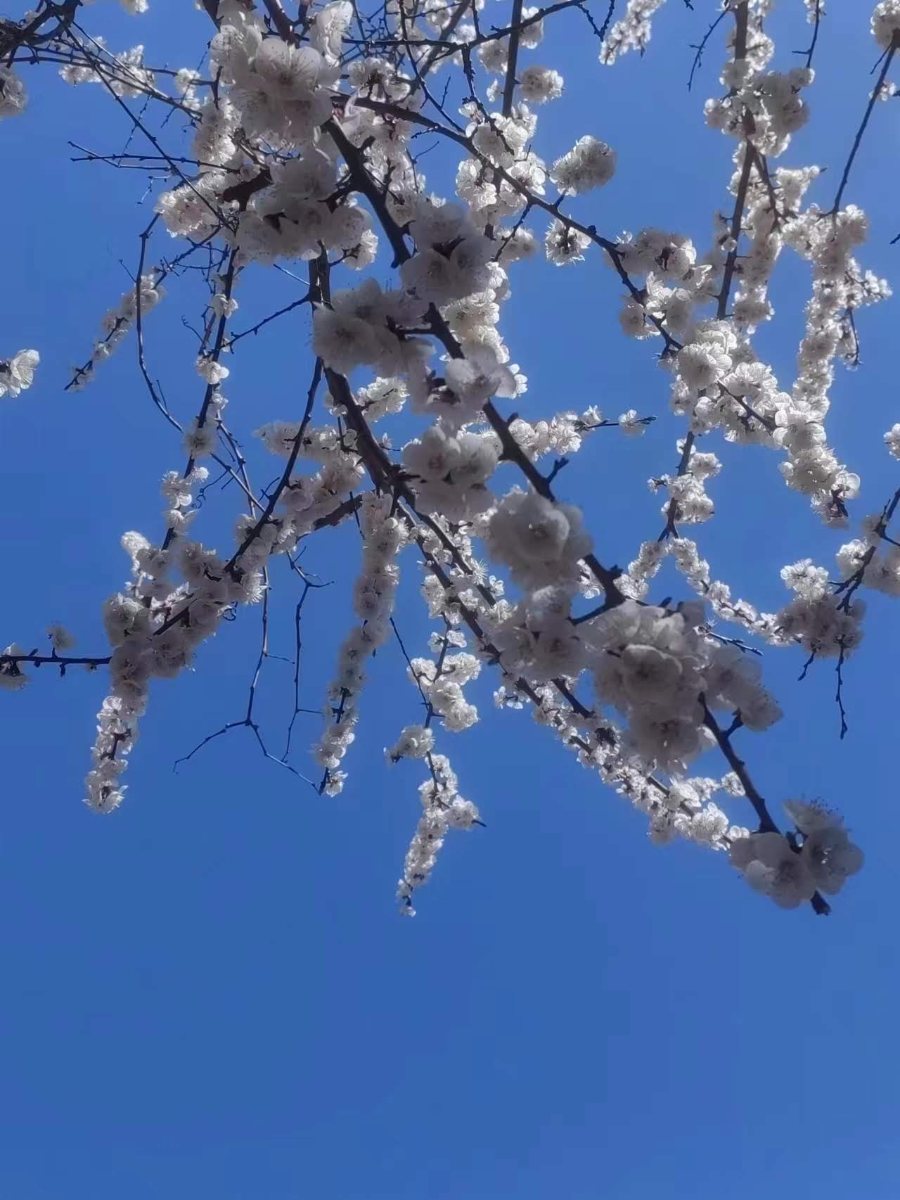 �ӻ� ��Ե����.jpg