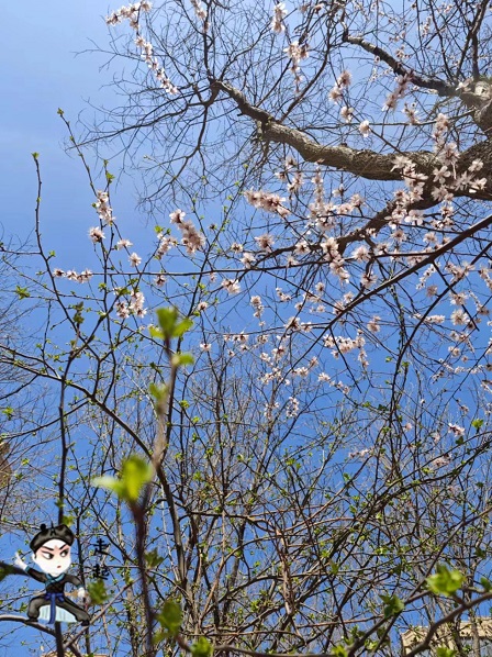 �ӻ� ܷܷ����.jpg