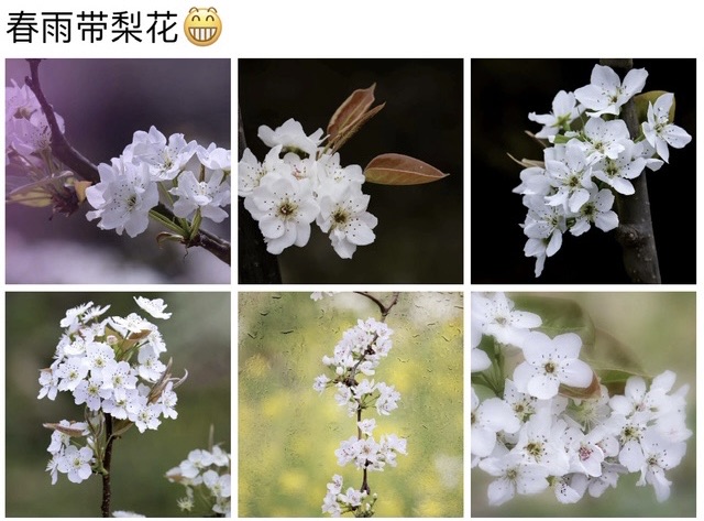 950B20B5-B898-4FC4-A292-7D01DD20321A.jpeg