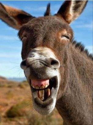 20230421143621_82135.jpeg 2B2B7476-77D9-445E-A4CA-6BC4E7F997A9.jpeg