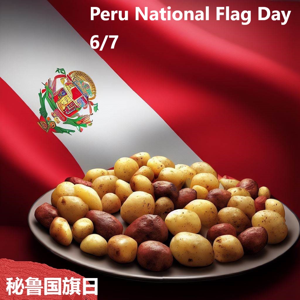 6月7日秘鲁国旗日.jpg