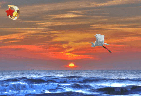 20230615173027_39215.gif oie_C1ZsANyfRWGZ.gif