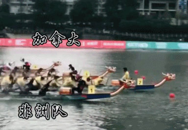 dragonBoat.gif
