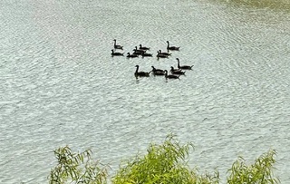 IMG_6862.jpeg