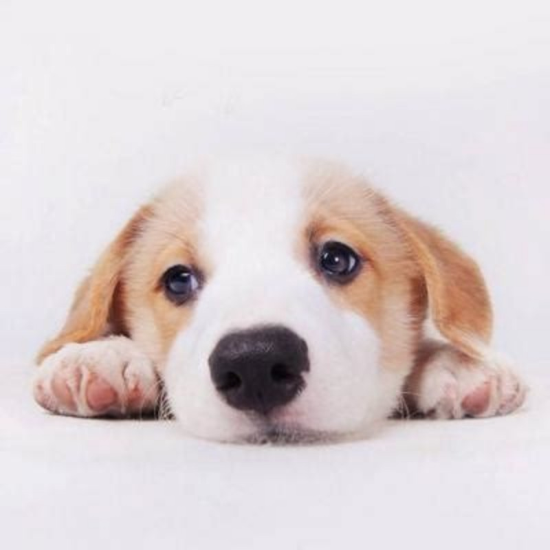 WeChat Image_20220527201943.png