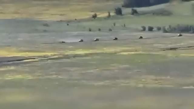 u=3693209236,210906141&fm=30&app=106&f=JPEG.jpeg
