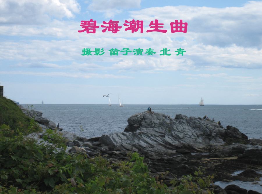 bihaichaosheng-text1.jpg