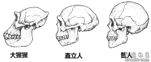 20240804055204_19489.jpg c5550c82.jpg