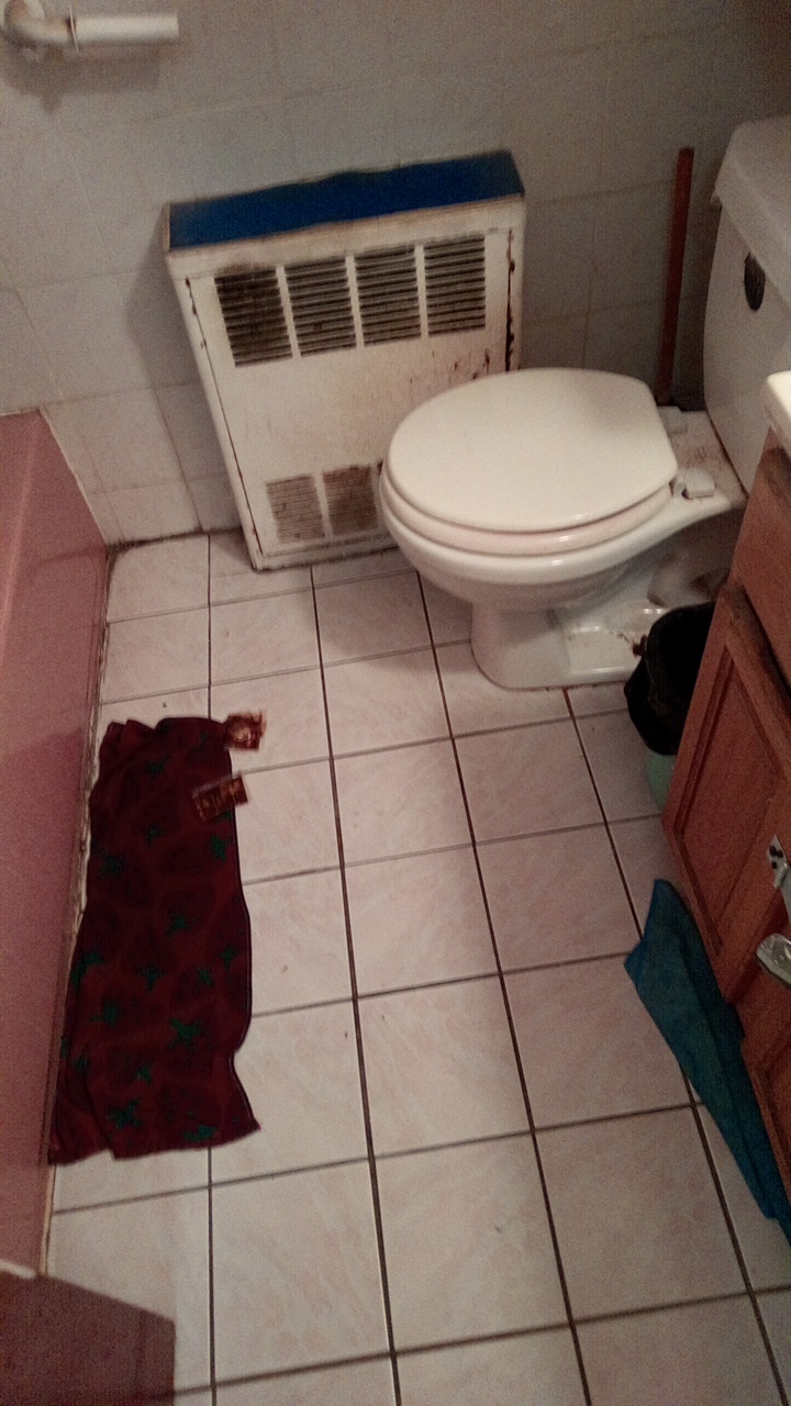 20240821143350_31800.jpg IMG_20240821_111553_734.jpg