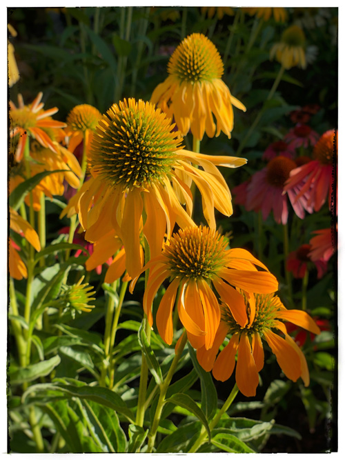 20250101163658_16371.jpg IMG_E8308.JPG