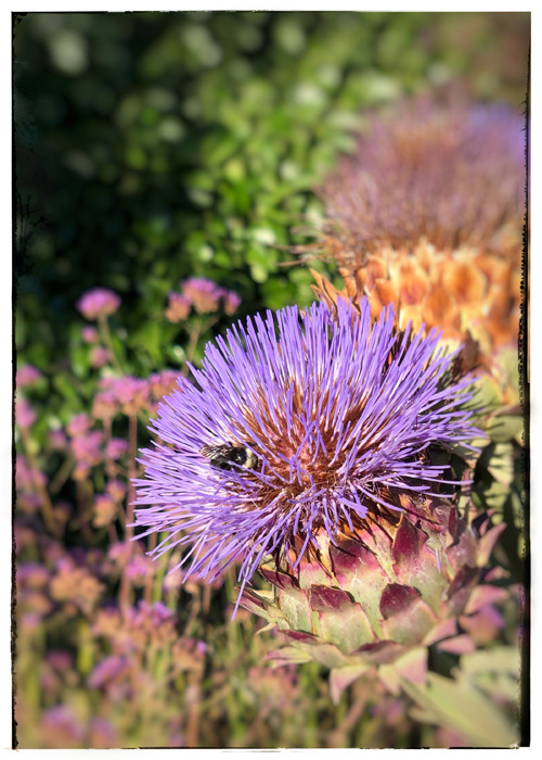 20250101163712_49791.jpg IMG_E8311.JPG