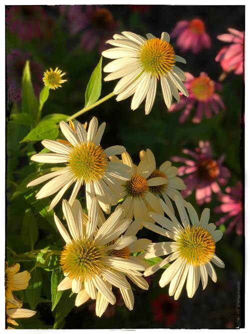 20250101163728_34532.jpg XQNLE1396.JPG