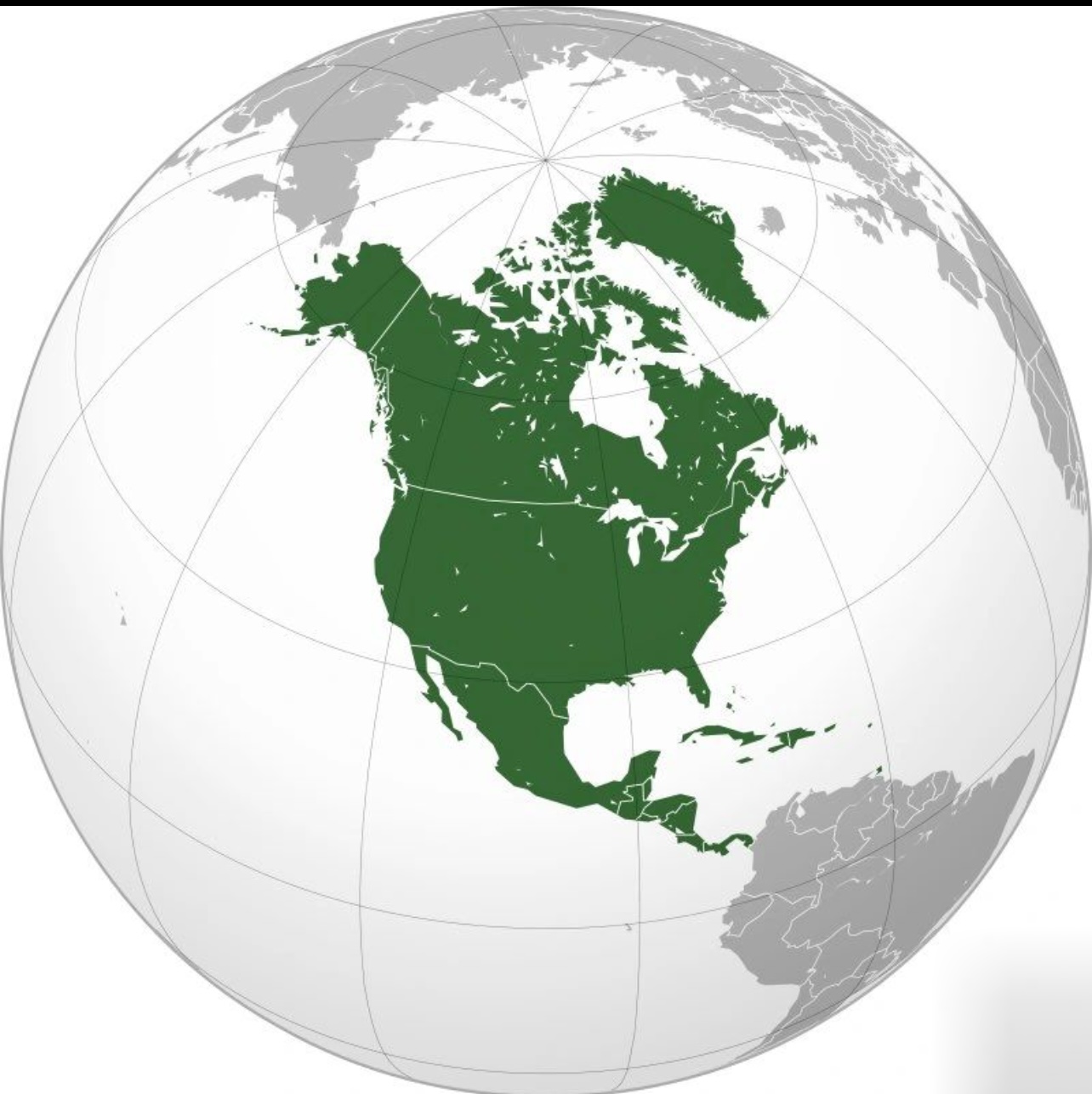 20250108195629_51506.jpeg IMG_4783.jpeg