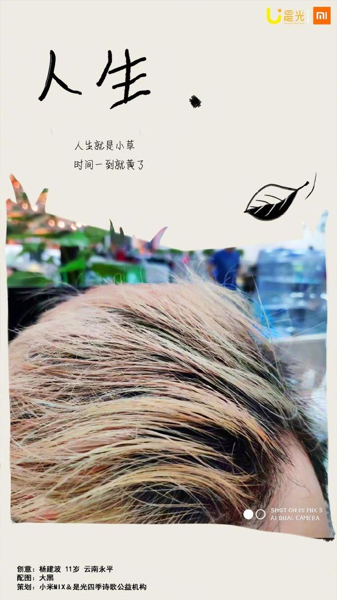 20250111072420_85794.jpeg IMG_0028.jpeg