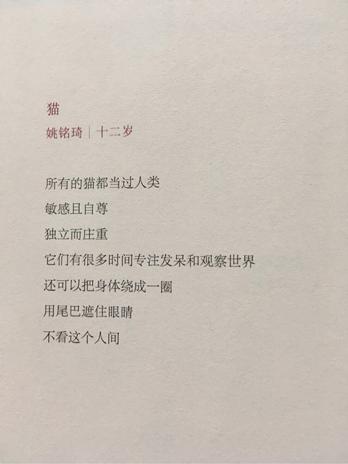 20250111072455_98182.jpeg IMG_0023.jpeg