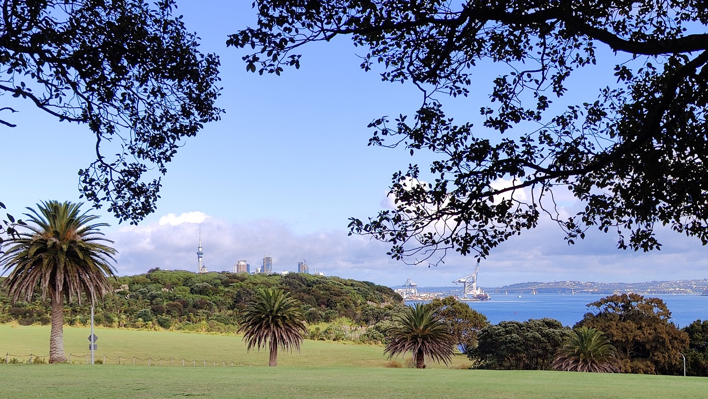 20250112043933_78980.jpg 0-2 電視塔在望.jpg