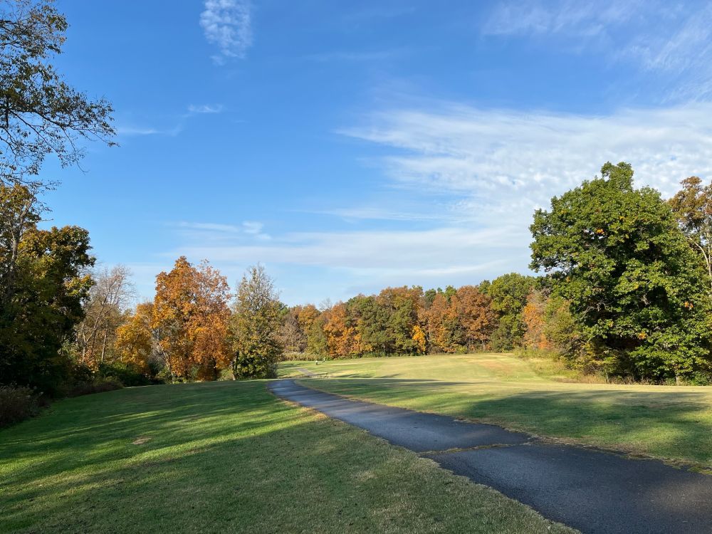 20250112071648_34282.jpeg IMG_9055.jpeg