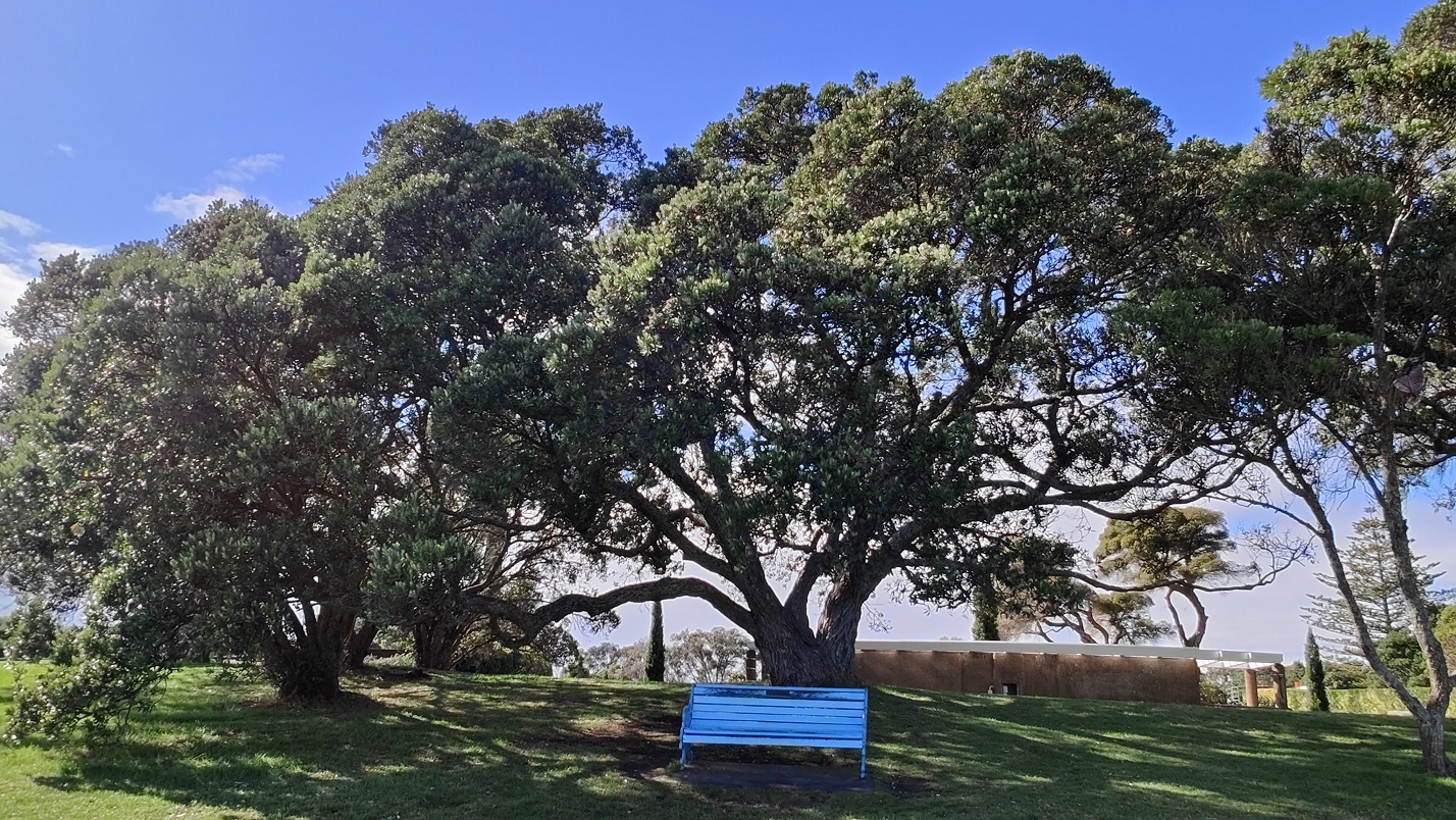 20250115041530_24747.jpg 0-8-3 背後是聖誕樹.jpg