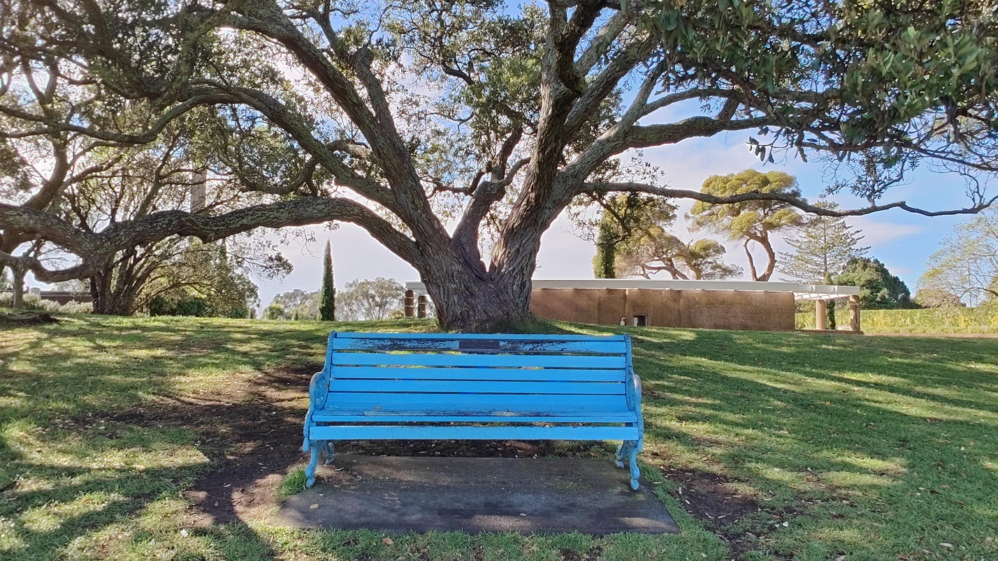 20250115041542_36290.jpg 0-8-4 藍椅子值不值得看只有芸知道.jpg